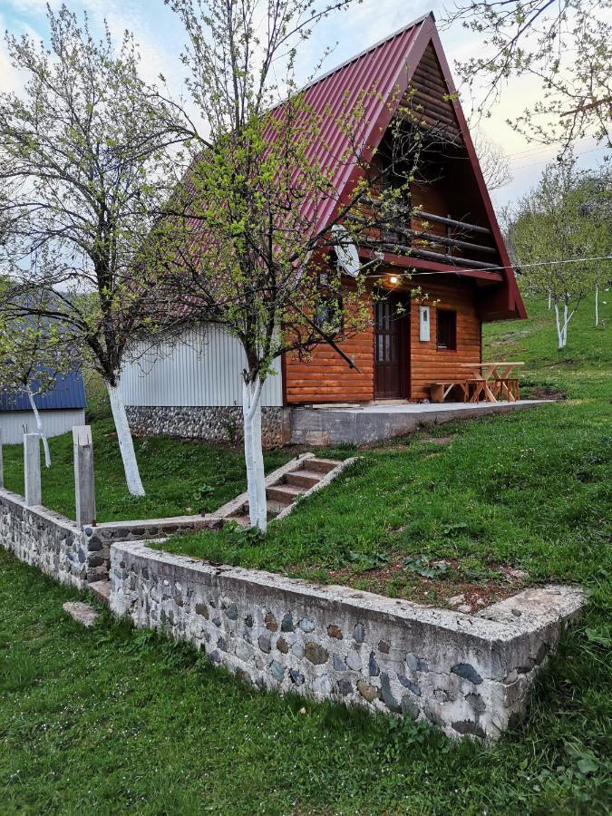 Ethno Cottage Momo Tepca Žabljak エクステリア 写真