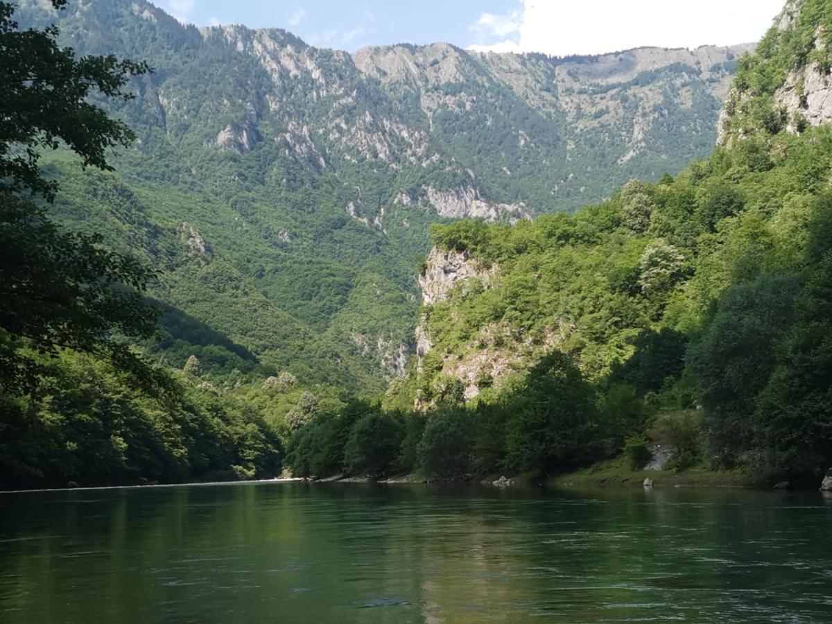 Ethno Cottage Momo Tepca Žabljak エクステリア 写真