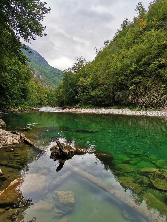 Ethno Cottage Momo Tepca Žabljak エクステリア 写真