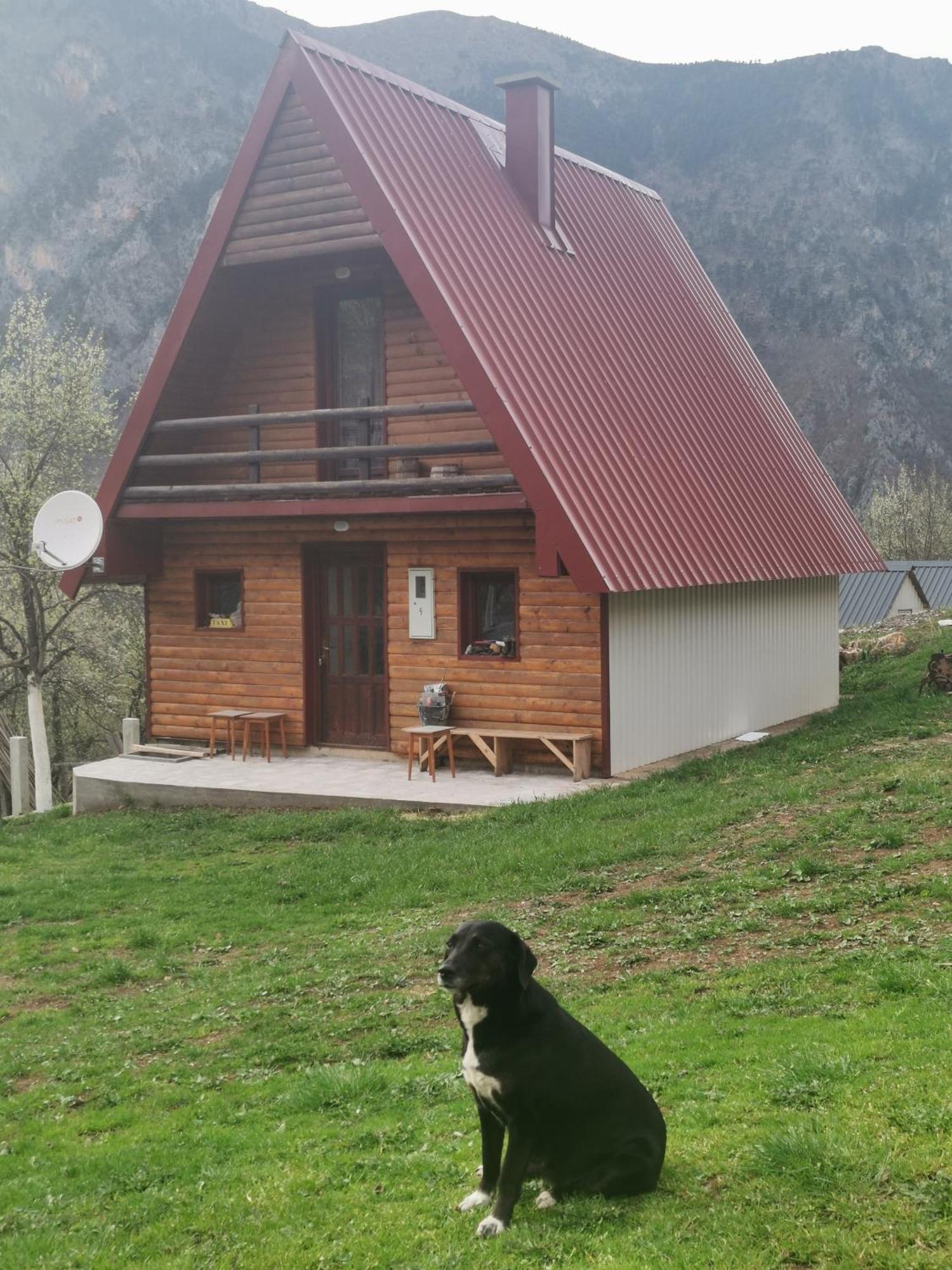 Ethno Cottage Momo Tepca Žabljak 部屋 写真