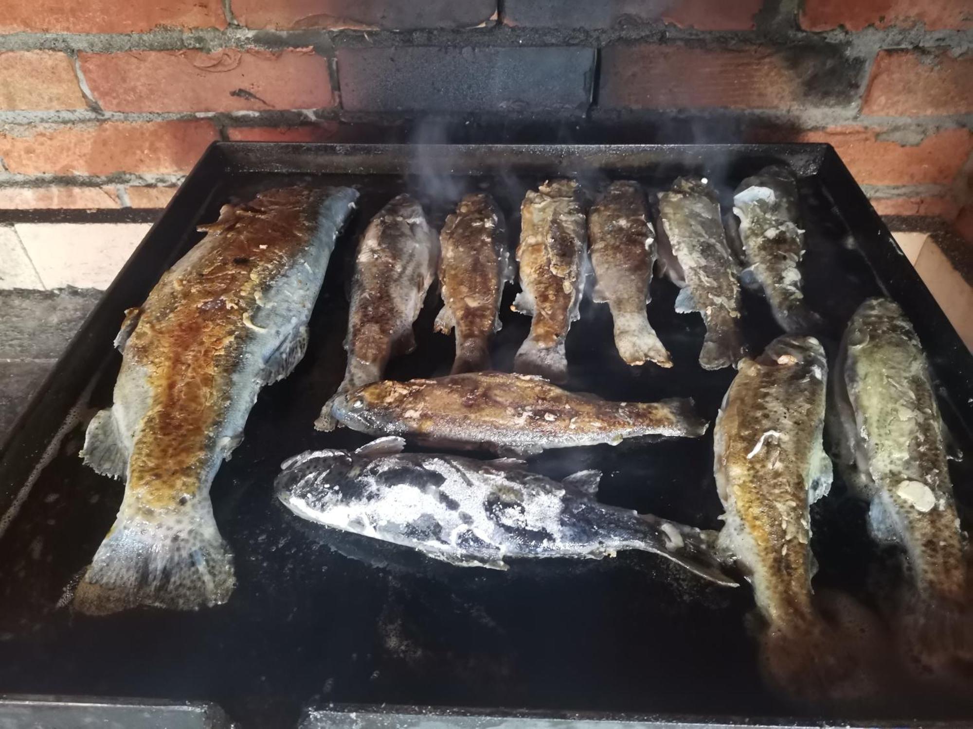 Ethno Cottage Momo Tepca Žabljak 部屋 写真