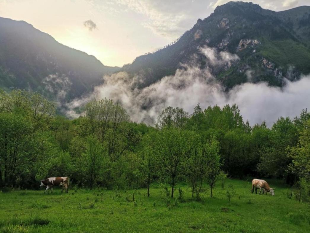 Ethno Cottage Momo Tepca Žabljak エクステリア 写真