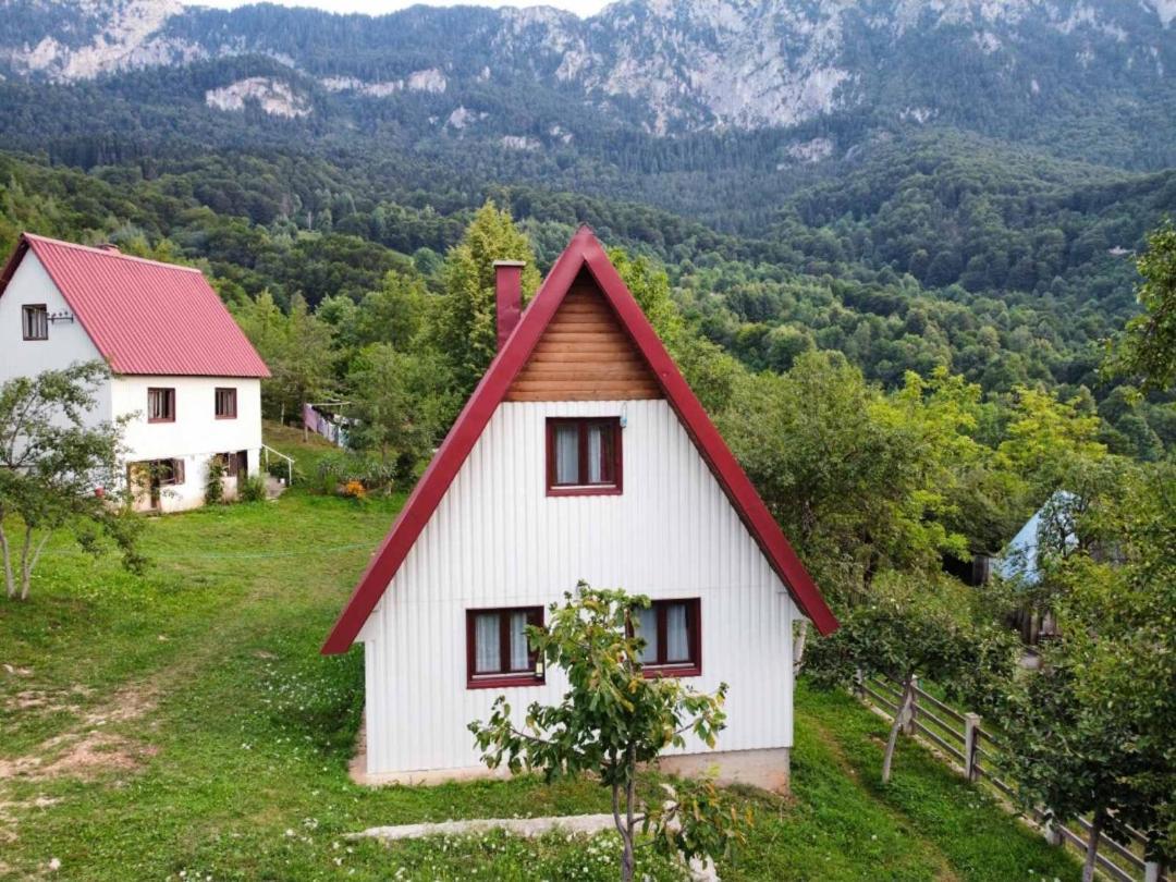 Ethno Cottage Momo Tepca Žabljak エクステリア 写真